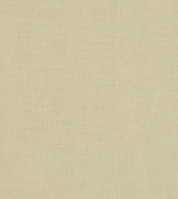 Midori Fabric by Clarke & Clarke Bamboo