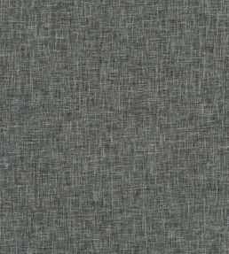 Midori Fabric by Clarke & Clarke Charcoal
