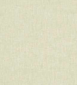 Midori Fabric by Clarke & Clarke Pistachio