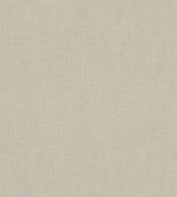 Midori Fabric by Clarke & Clarke Raffia