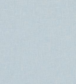 Midori Fabric by Clarke & Clarke Sky