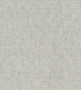 Atmosphere Fabric by Clarke & Clarke Silver