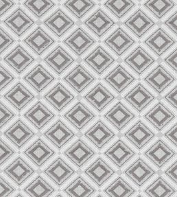 Paragon Fabric by Clarke & Clarke Silver