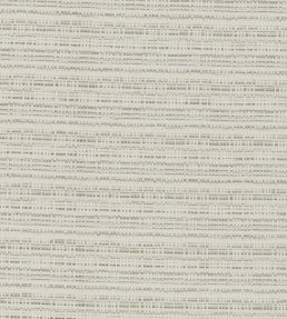 Ramie Fabric by Clarke & Clarke Ivory
