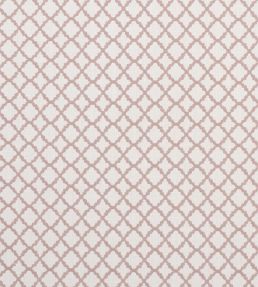 Ariyana Fabric by Clarke & Clarke Blush