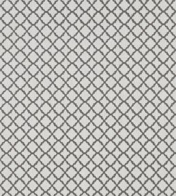 Ariyana Fabric by Clarke & Clarke Charcoal