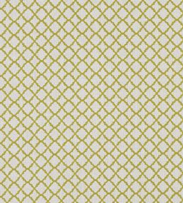 Ariyana Fabric by Clarke & Clarke Chartreuse