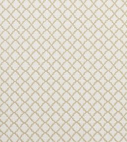 Ariyana Fabric by Clarke & Clarke Natural