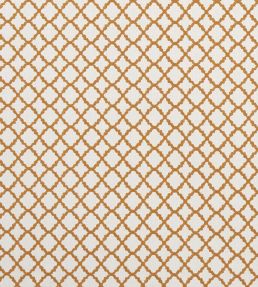 Ariyana Fabric by Clarke & Clarke Spice