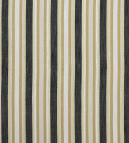 Ziba Fabric by Clarke & Clarke Charcoal/Ochre