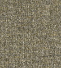 Llanara Fabric by Clarke & Clarke Antique