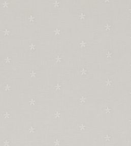 Mitton Fabric by Clarke & Clarke Ivory