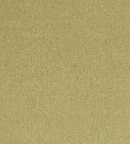 Highlander Fabric by Clarke & Clarke Fern