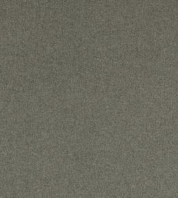 Highlander Fabric by Clarke & Clarke Mist