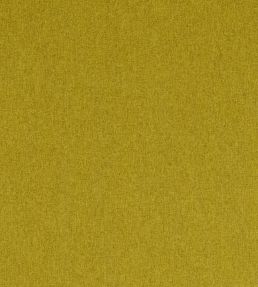 Highlander Fabric by Clarke & Clarke Palm