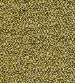 Beauvoir Fabric by Clarke & Clarke Citrus