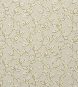Chartwell Fabric by Clarke & Clarke Acacia
