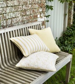 Chartwell Fabric by Clarke & Clarke Acacia