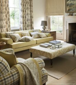 Chartwell Fabric by Clarke & Clarke Acacia