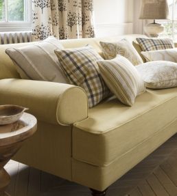 Easton Fabric by Clarke & Clarke Acacia