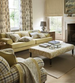 Harewood Fabric by Clarke & Clarke Acacia