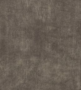 Martello Fabric by Clarke & Clarke Earth