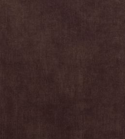 Martello Fabric by Clarke & Clarke Espresso