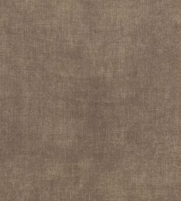 Martello Fabric by Clarke & Clarke Otter