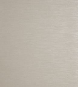 Quartz Wallpaper by Clarke & Clarke Stone