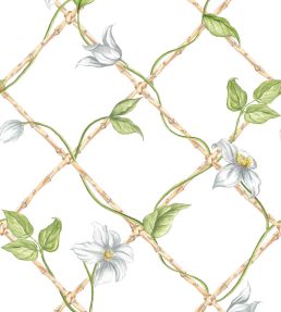 Clematis on Bamboo Trellis Wallpaper by Alice Crawley Green
