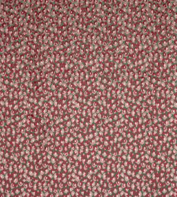 Cleo Fabric by Jane Churchill Pink/Green