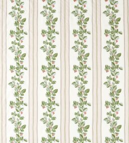 Cobnut Stripe Fabric by Sanderson Leaf Green/Berry