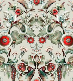 Coccinella Bella Wallpaper by Moooi Stone Grey