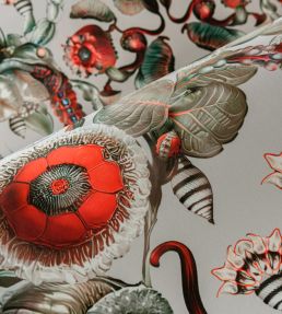 Coccinella Bella Wallpaper by Moooi Stone Grey