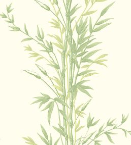Bamboo Wallpaper by Cole & Son Olive Green
