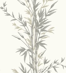 Bamboo Wallpaper by Cole & Son Taupe