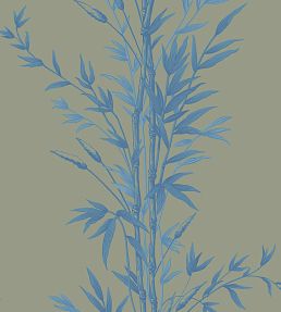 Bamboo Wallpaper by Cole & Son China Blue