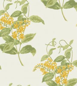 Madras Violet Wallpaper by Cole & Son Yellow