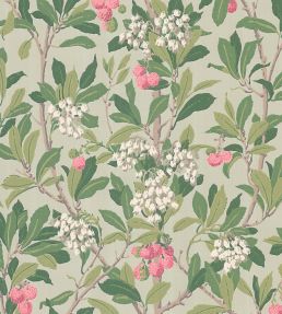 Strawberry Tree Wallpaper by Cole & Son Chalk, Rose & Forest Green
