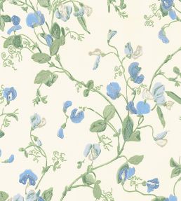 Sweet Pea Wallpaper by Cole & Son Cerulean & Sky