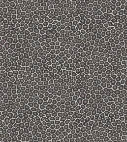 Senzo Spot Wallpaper by Cole & Son 6031