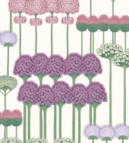 Allium Wallpaper by Cole & Son Mulberry, Blush & Lilac on White