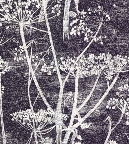 Cow Parsley Wallpaper by Cole & Son Etch Grey