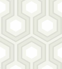 Hicks' Grand Wallpaper by Cole & Son 37