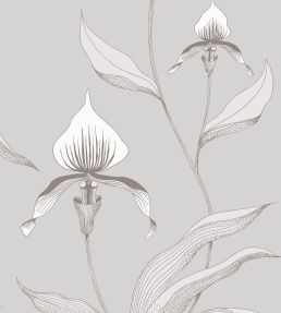 Orchid Wallpaper by Cole & Son 55