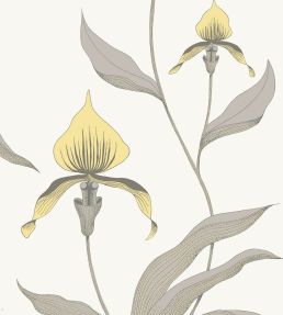 Orchid Wallpaper by Cole & Son 57