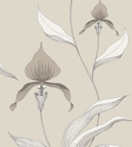 Orchid Wallpaper by Cole & Son 58
