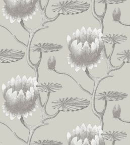 Summer Lily Wallpaper by Cole & Son 25