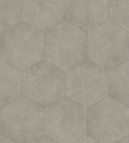 Mineral Wallpaper by Cole & Son 6030