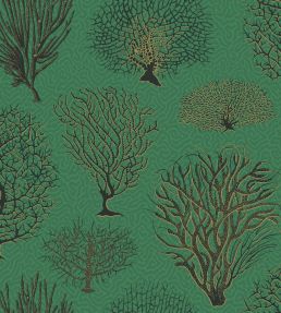 Seafern Wallpaper by Cole & Son 2007